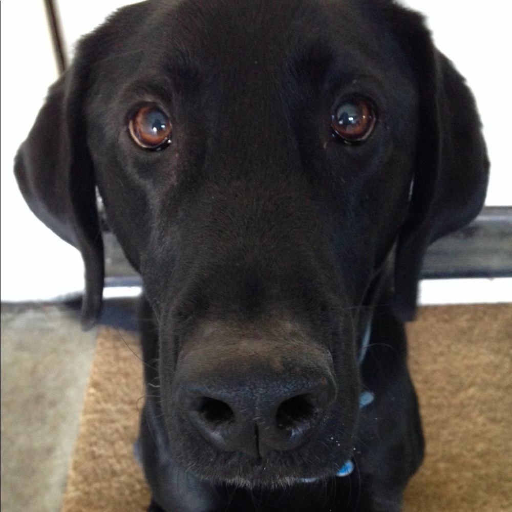 Meet your Posher, Kaylee
